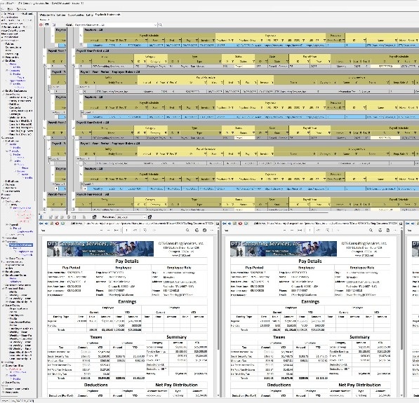 Run your own Payroll business !!!